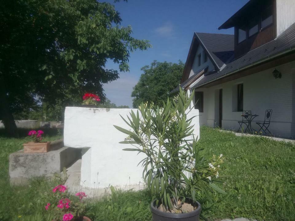 Kutny -chateau Schaal *